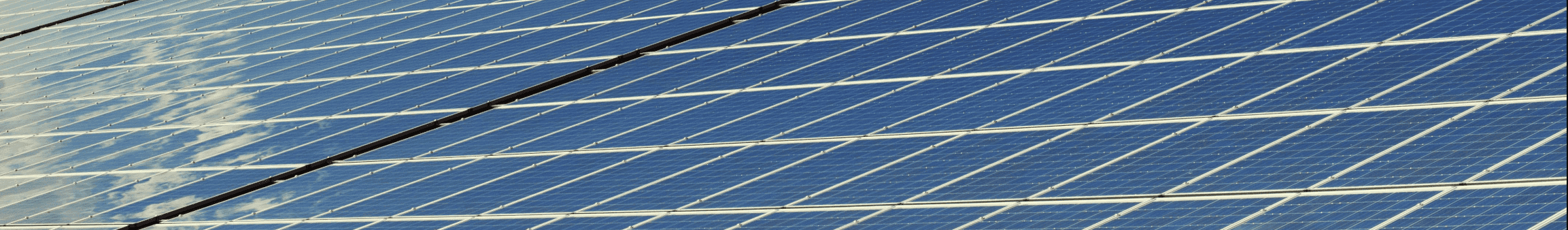 Expansion & diversification